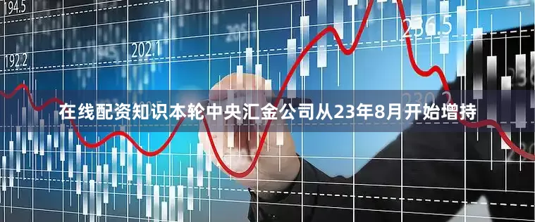 在线配资知识本轮中央汇金公司从23年8月开始增持
