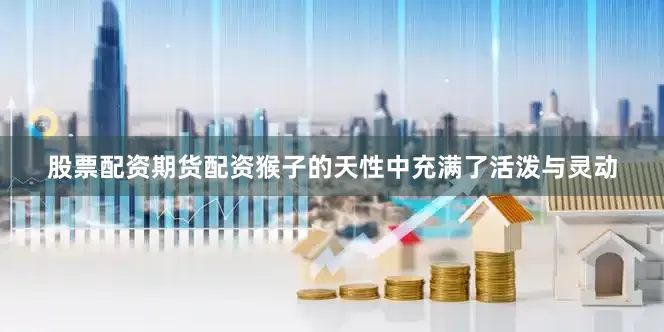 股票配资期货配资猴子的天性中充满了活泼与灵动